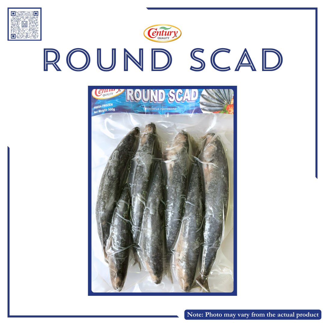 CENTURY ROUND SCUD GALUNGGONG (FISH400) 500G