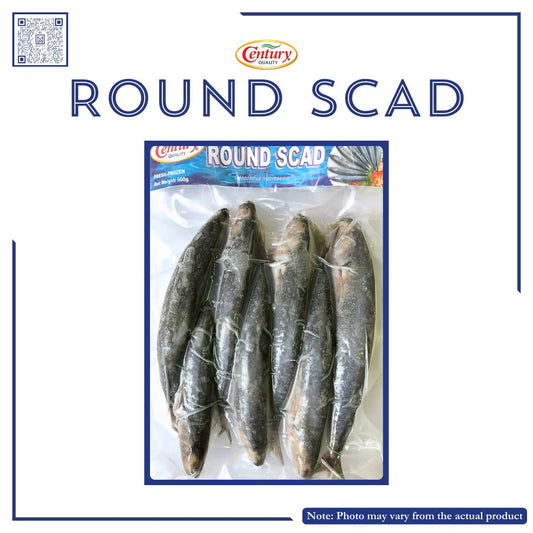 CENTURY ROUND SCUD GALUNGGONG (FISH400) 500G